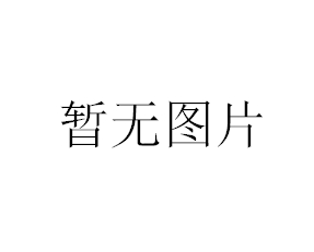 上海衡平电子精密天平JA2003